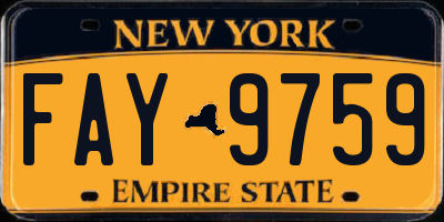 NY license plate FAY9759