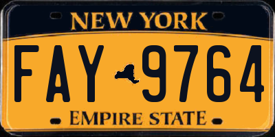 NY license plate FAY9764