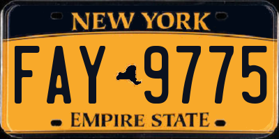 NY license plate FAY9775