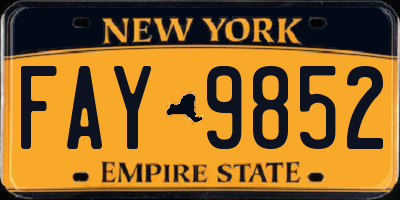 NY license plate FAY9852