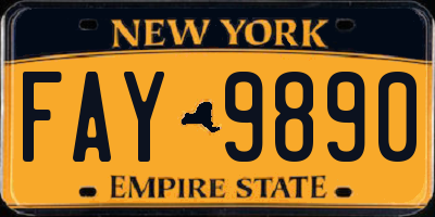 NY license plate FAY9890