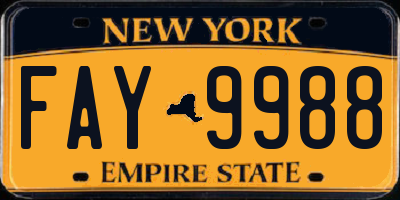 NY license plate FAY9988