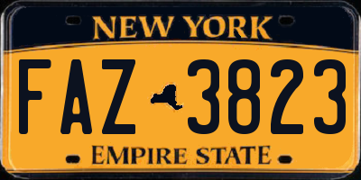 NY license plate FAZ3823