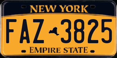 NY license plate FAZ3825