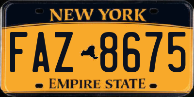 NY license plate FAZ8675