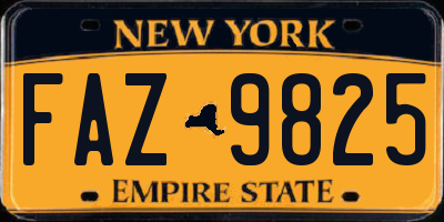 NY license plate FAZ9825