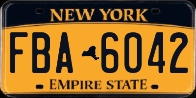 NY license plate FBA6042
