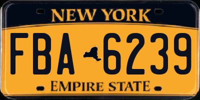 NY license plate FBA6239