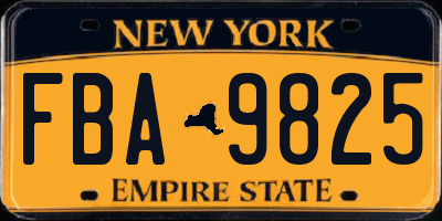 NY license plate FBA9825