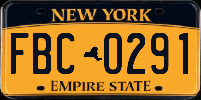 NY license plate FBC0291
