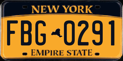 NY license plate FBG0291