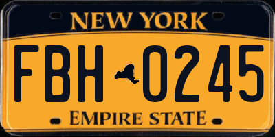 NY license plate FBH0245