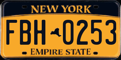 NY license plate FBH0253