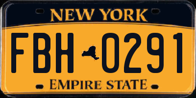 NY license plate FBH0291