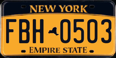 NY license plate FBH0503