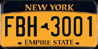 NY license plate FBH3001