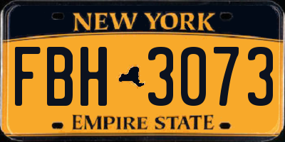 NY license plate FBH3073