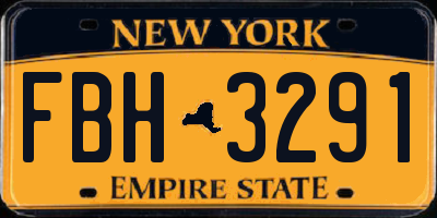 NY license plate FBH3291