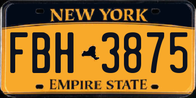 NY license plate FBH3875