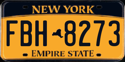 NY license plate FBH8273