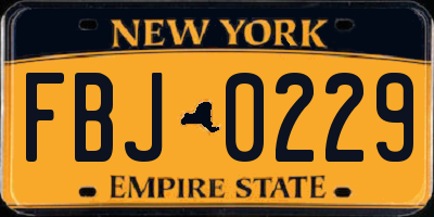 NY license plate FBJ0229