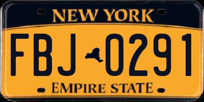 NY license plate FBJ0291
