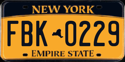 NY license plate FBK0229