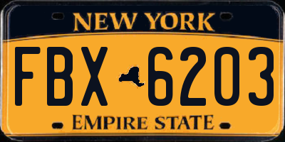 NY license plate FBX6203
