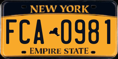 NY license plate FCA0981