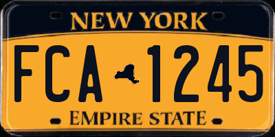 NY license plate FCA1245
