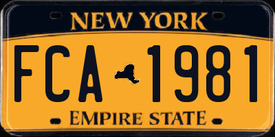 NY license plate FCA1981