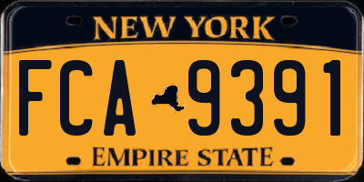 NY license plate FCA9391