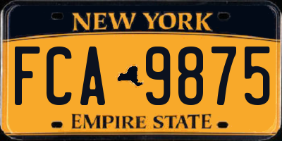 NY license plate FCA9875