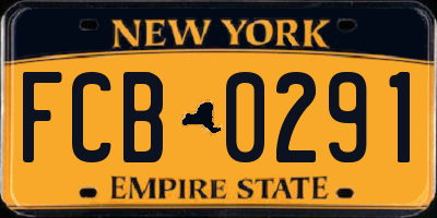NY license plate FCB0291