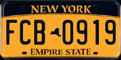 NY license plate FCB0919