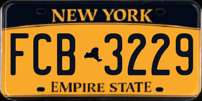 NY license plate FCB3229