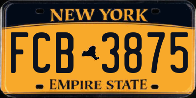 NY license plate FCB3875