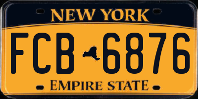 NY license plate FCB6876