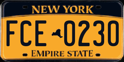 NY license plate FCE0230