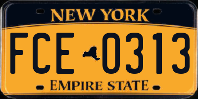 NY license plate FCE0313