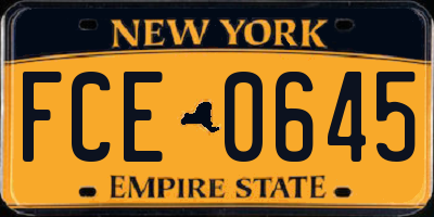 NY license plate FCE0645