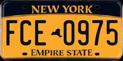 NY license plate FCE0975