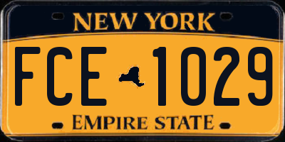 NY license plate FCE1029