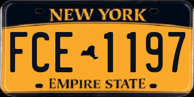 NY license plate FCE1197