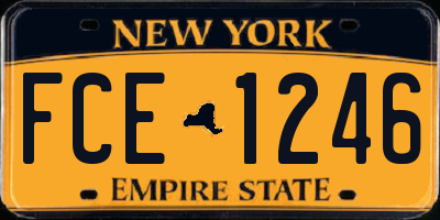 NY license plate FCE1246