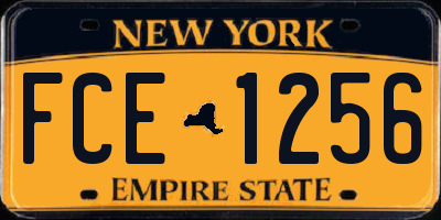 NY license plate FCE1256