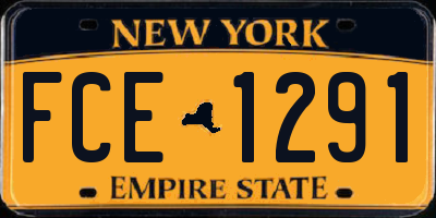 NY license plate FCE1291