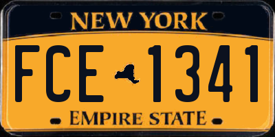 NY license plate FCE1341