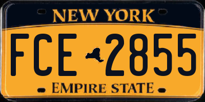 NY license plate FCE2855