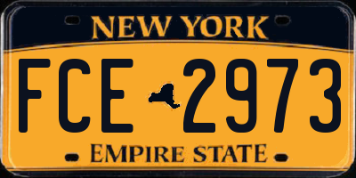 NY license plate FCE2973